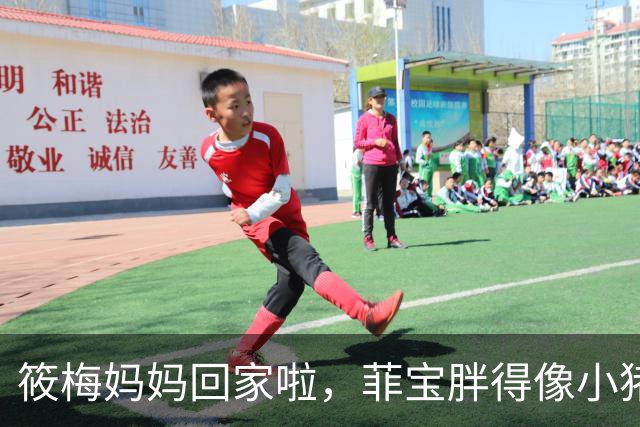 筱梅妈妈回家啦，菲宝胖得像小猪每次遛弯都成众人瞩目！